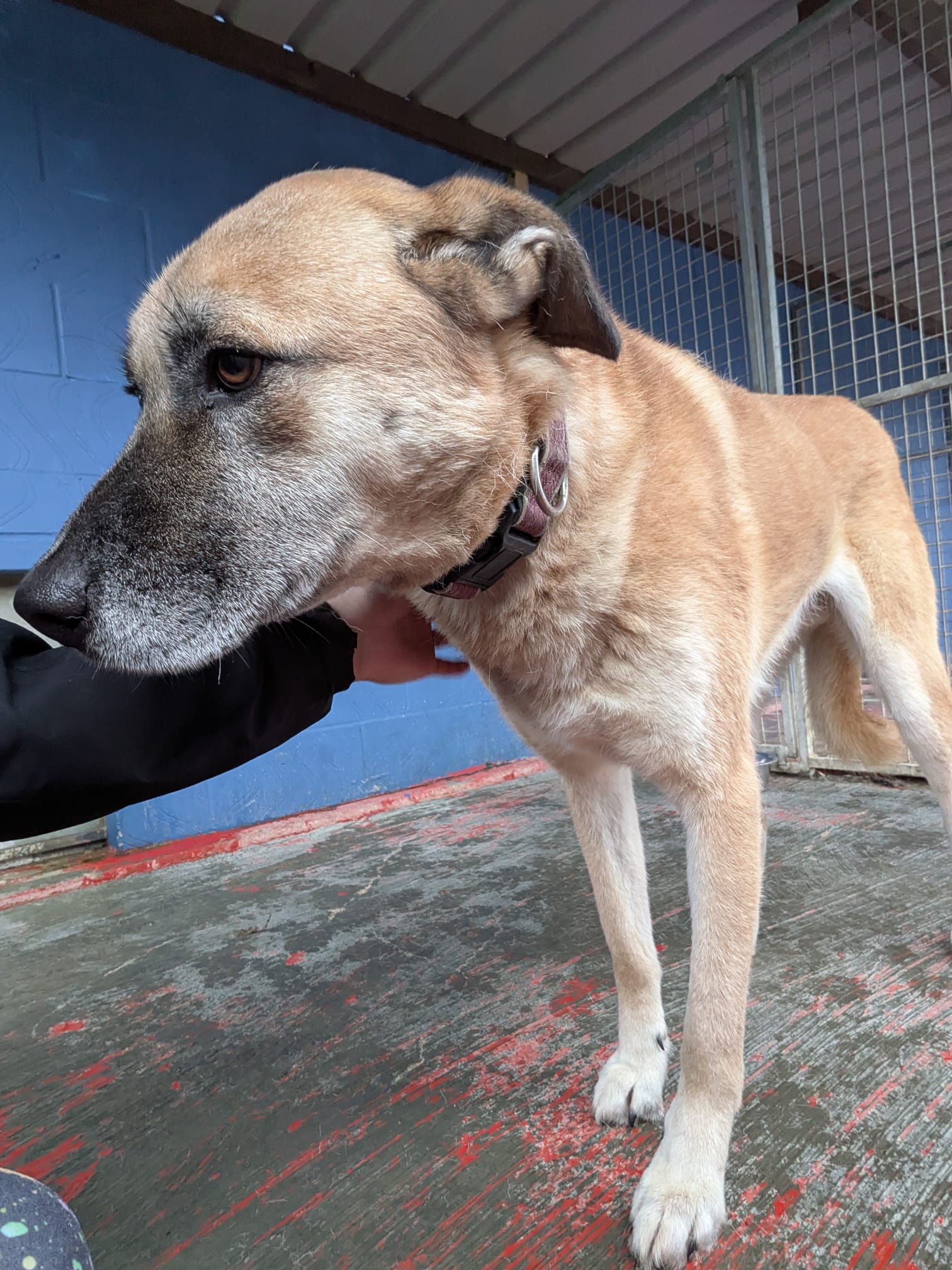 WhatsApp Image 2026-02-25 at 07.42.09 (1)