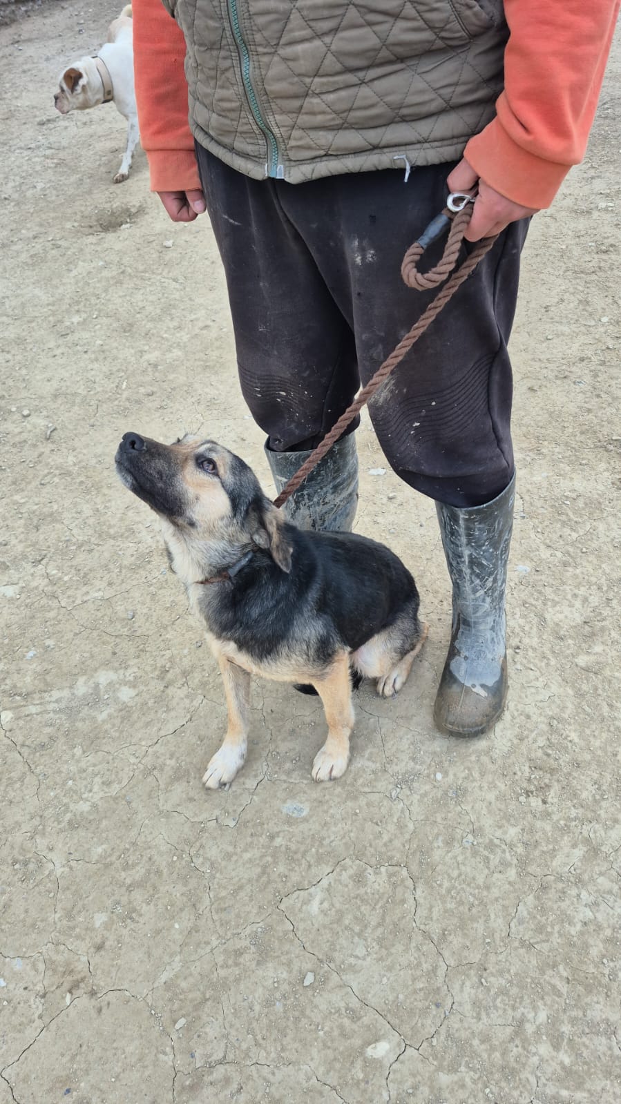 WhatsApp Image 2026-02-26 at 15.25.17 (1)