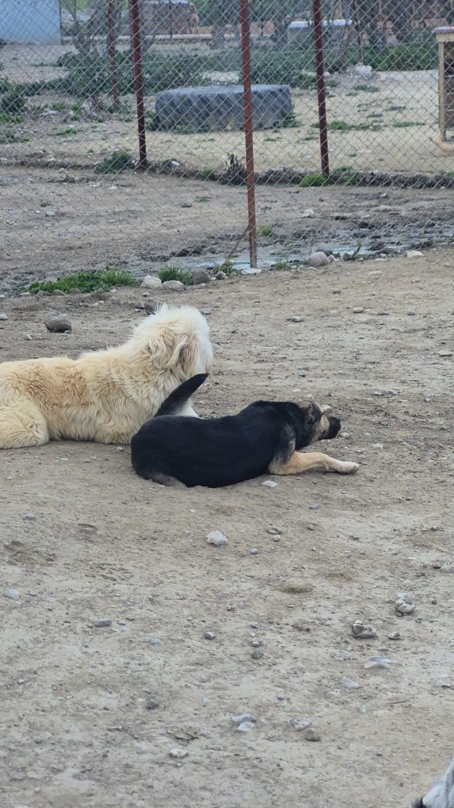 WhatsApp Image 2026-02-26 at 15.25.18 (1)