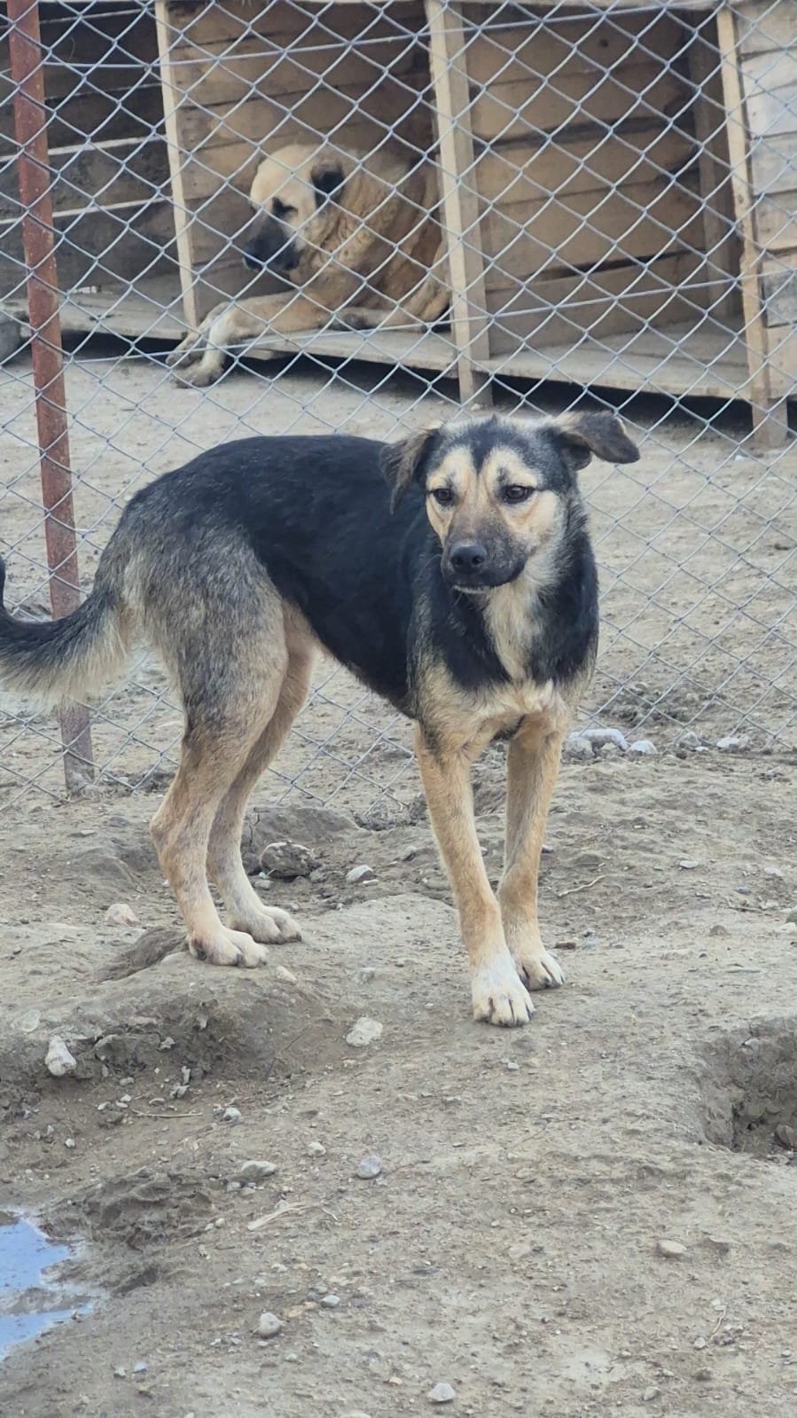 WhatsApp Image 2026-02-26 at 15.25.18 (3)