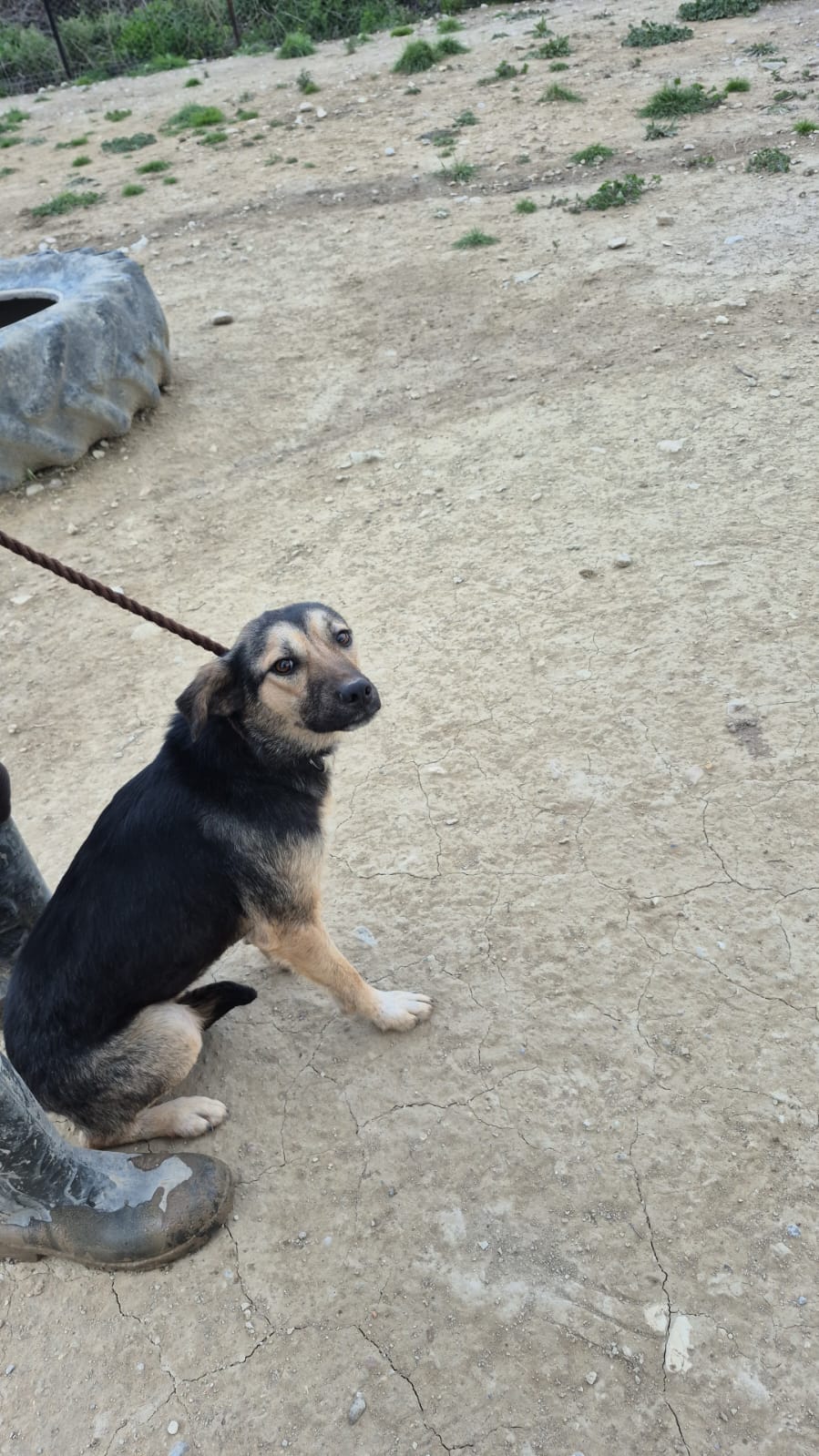 WhatsApp Image 2026-02-26 at 15.25.18