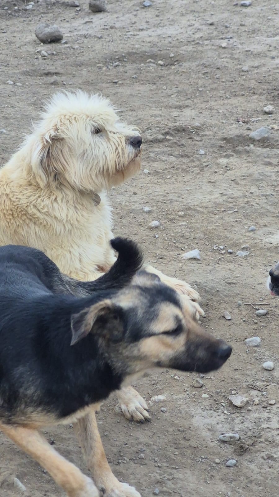 WhatsApp Image 2026-02-26 at 15.25.19 (1)