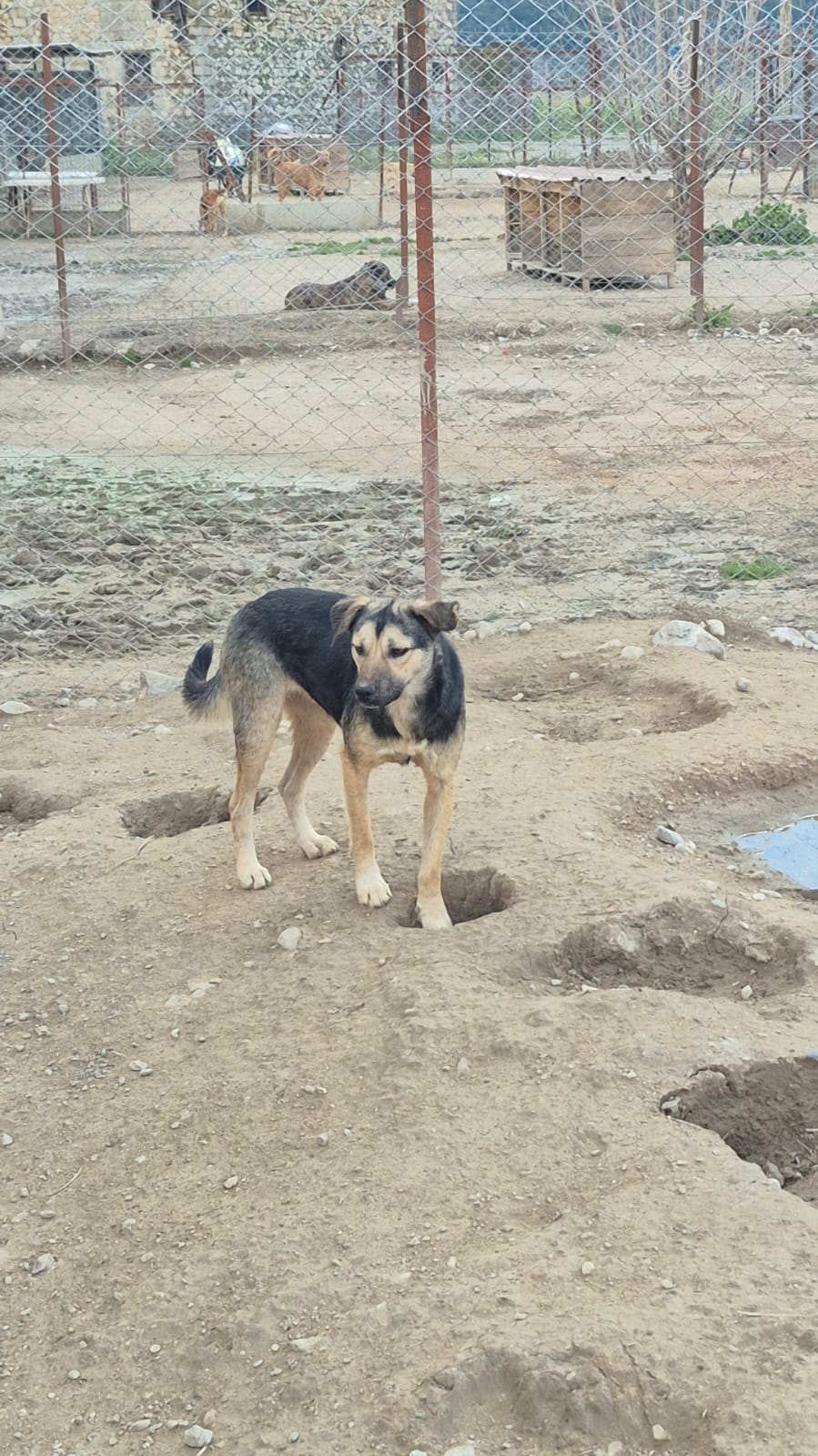 WhatsApp Image 2026-02-26 at 15.25.19 (2)