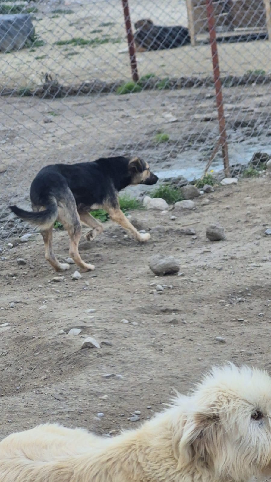 WhatsApp Image 2026-02-26 at 15.25.19