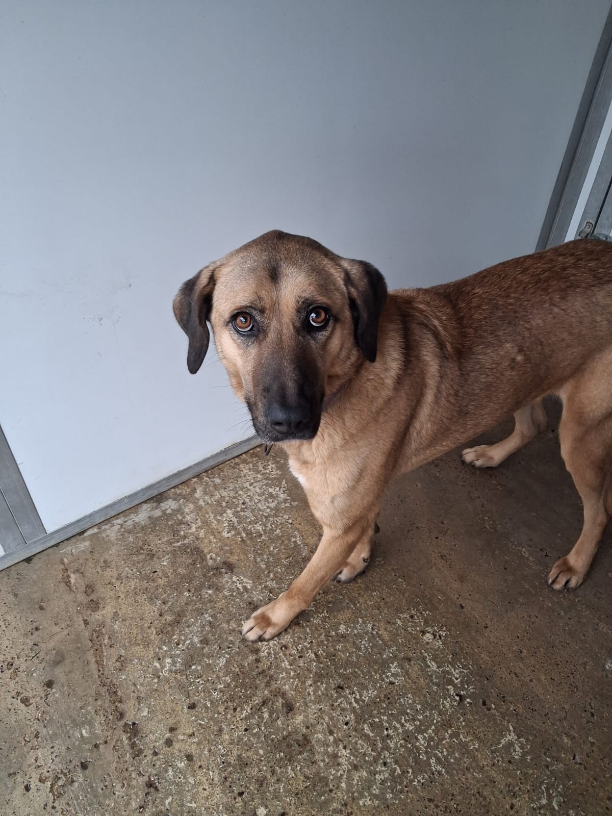 WhatsApp Image 2026-02-16 at 12.39.52