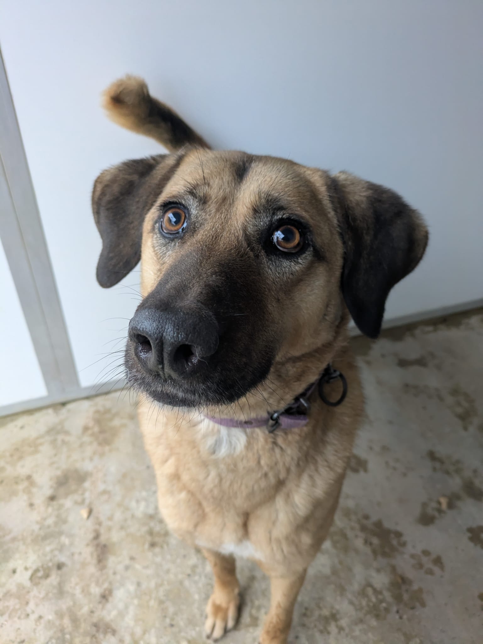 WhatsApp Image 2026-02-16 at 12.42.23