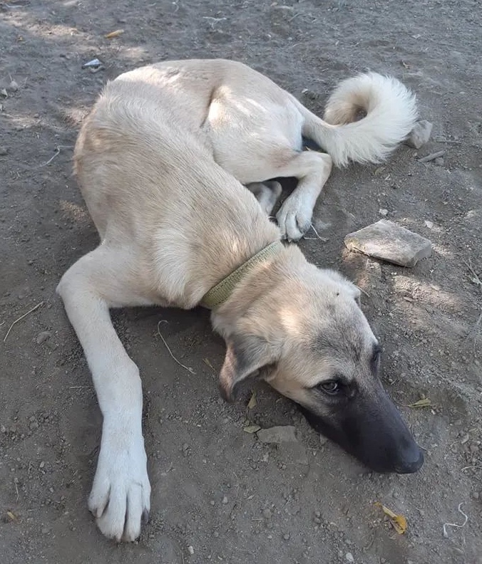 image-9-1 (1)