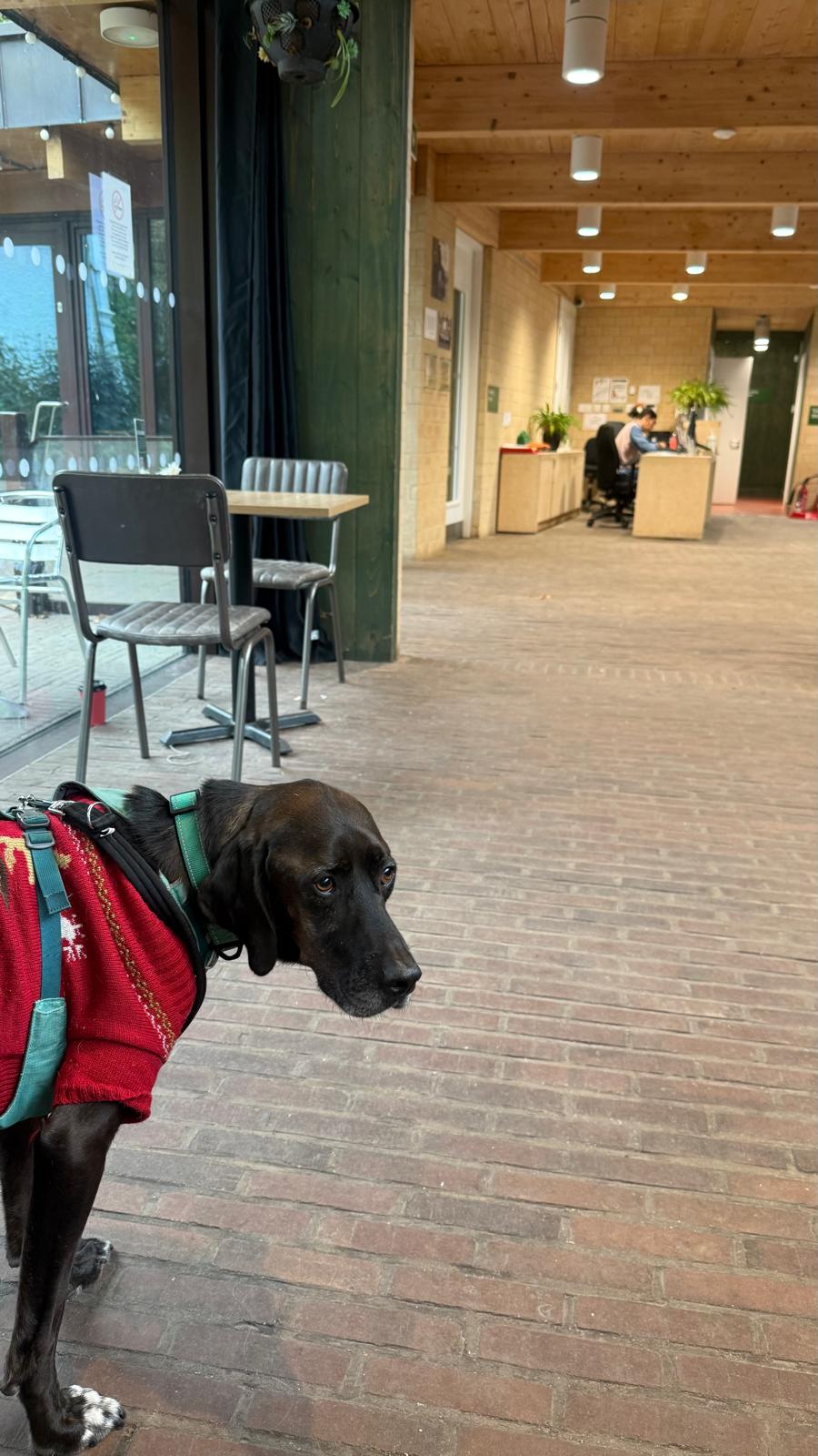 WhatsApp Image 2025-11-17 at 14.15.24 (1)