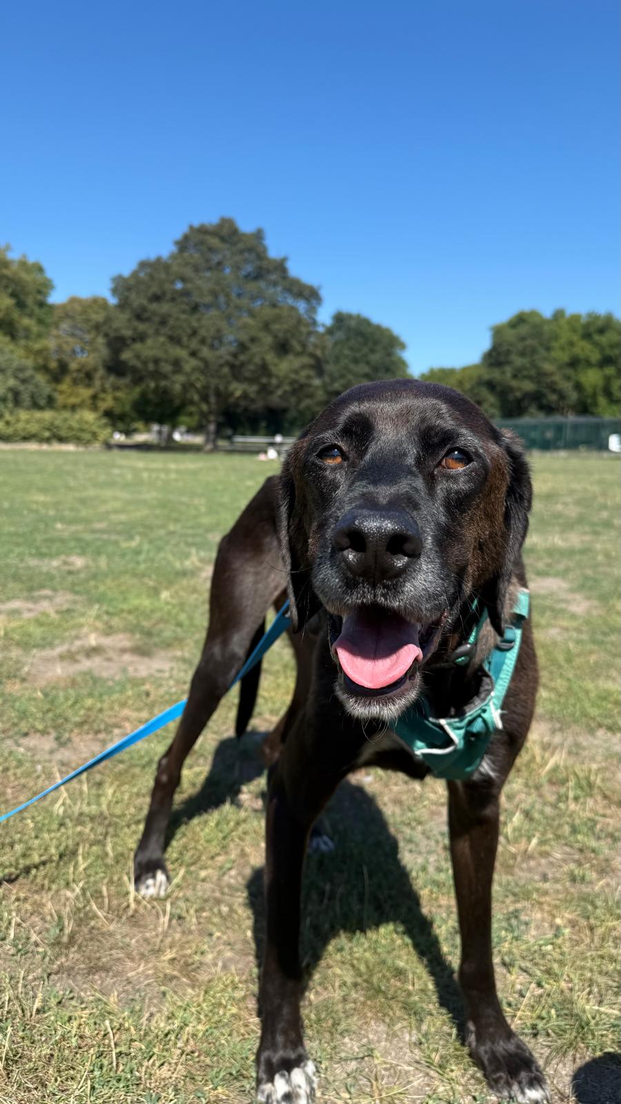 WhatsApp Image 2025-11-17 at 14.15.24