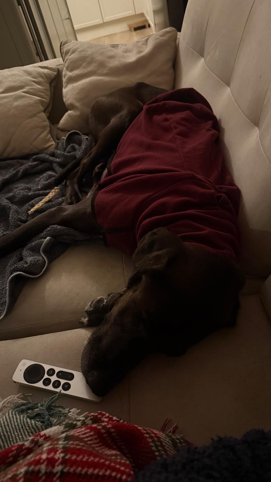 WhatsApp Image 2025-11-17 at 14.15.25 (2)