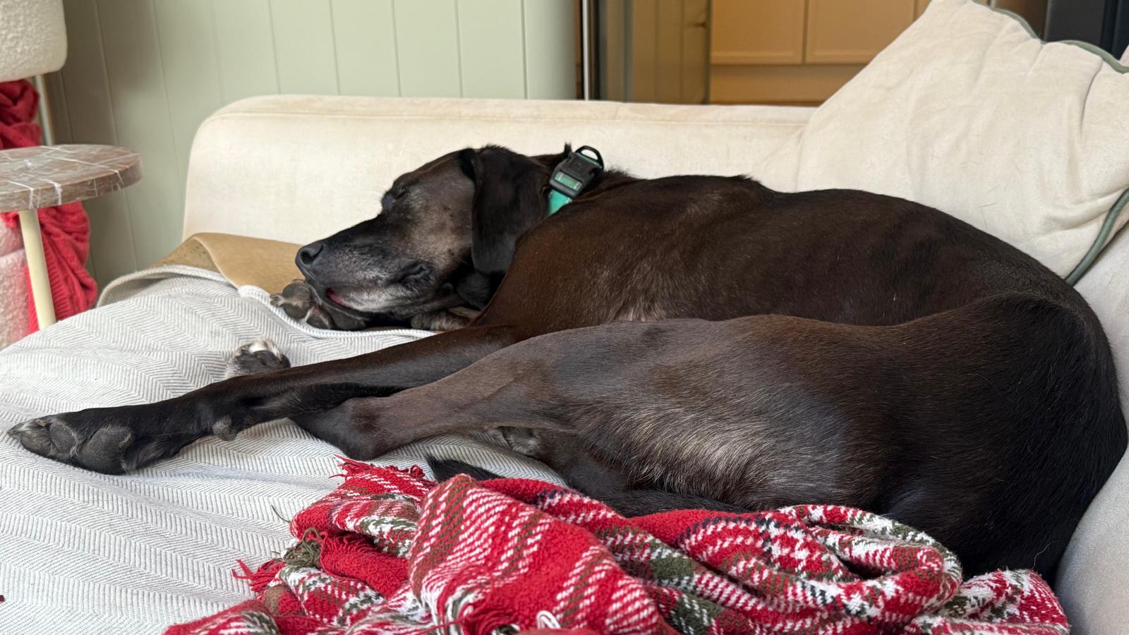 WhatsApp Image 2025-11-17 at 14.15.26 (1)