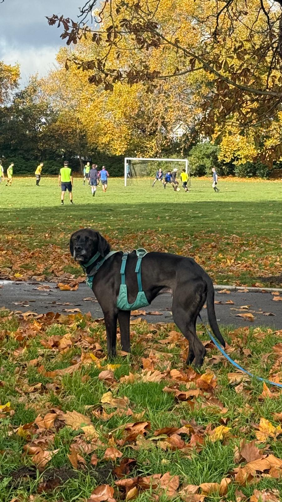 WhatsApp Image 2025-11-17 at 14.15.26