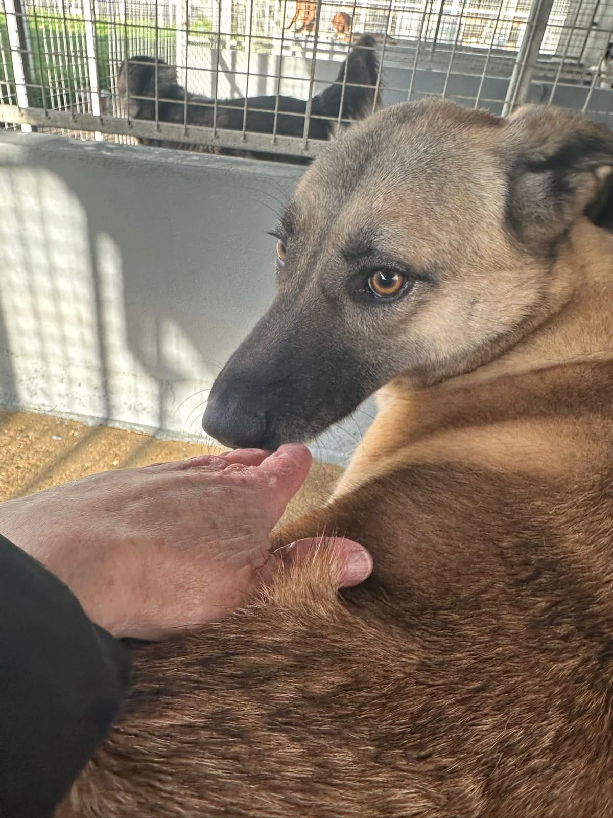 WhatsApp Image 2025-11-25 at 18.01.35