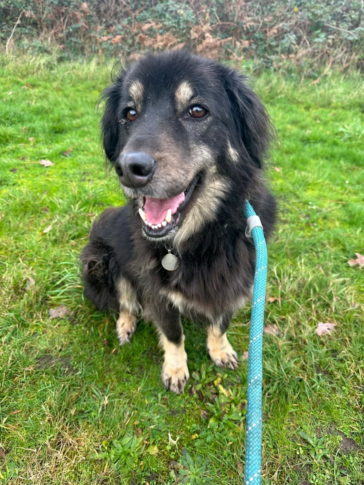 WhatsApp Image 2025-11-25 at 18.03.01