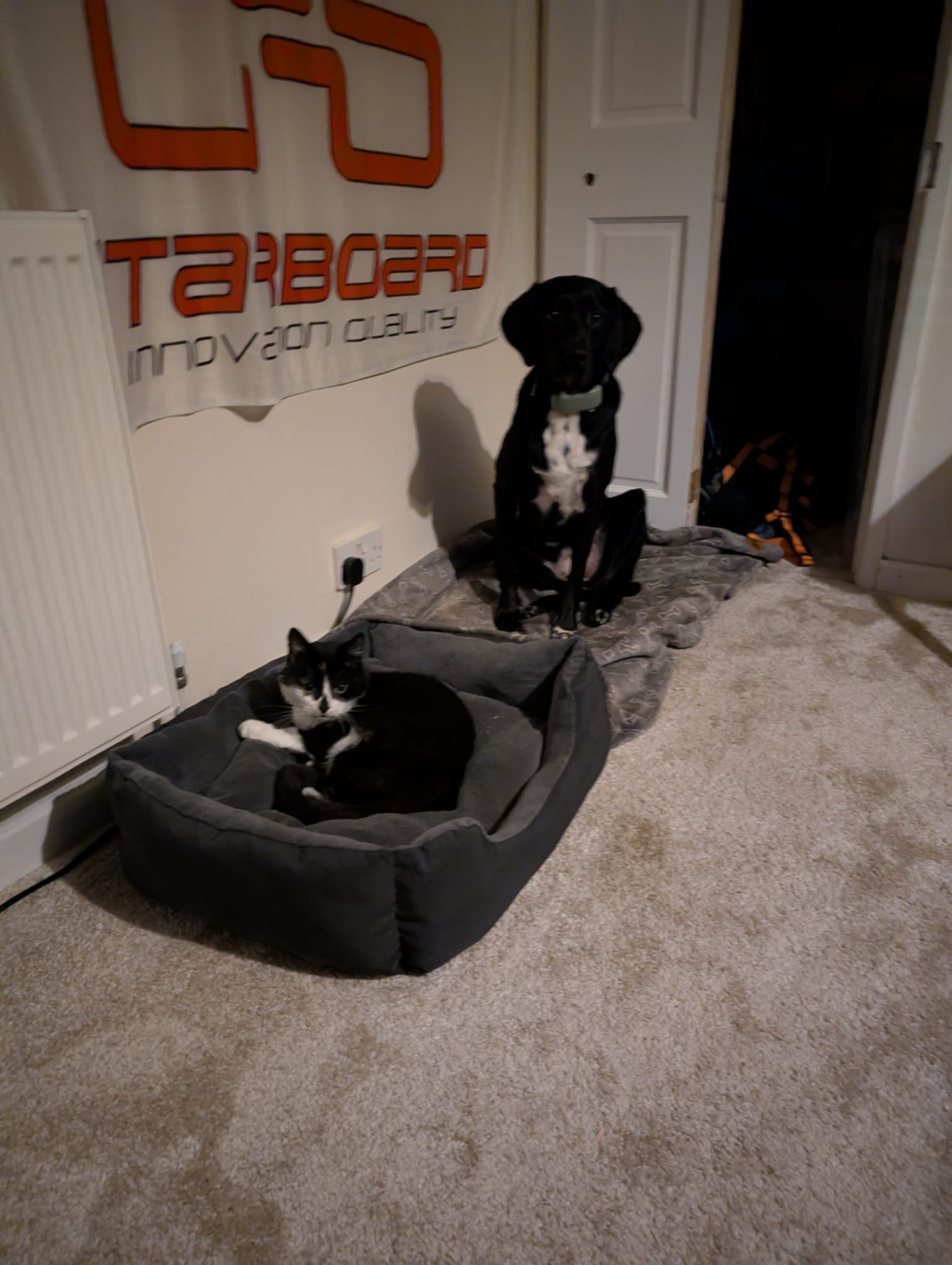 WhatsApp Image 2025-11-25 at 20.05.37