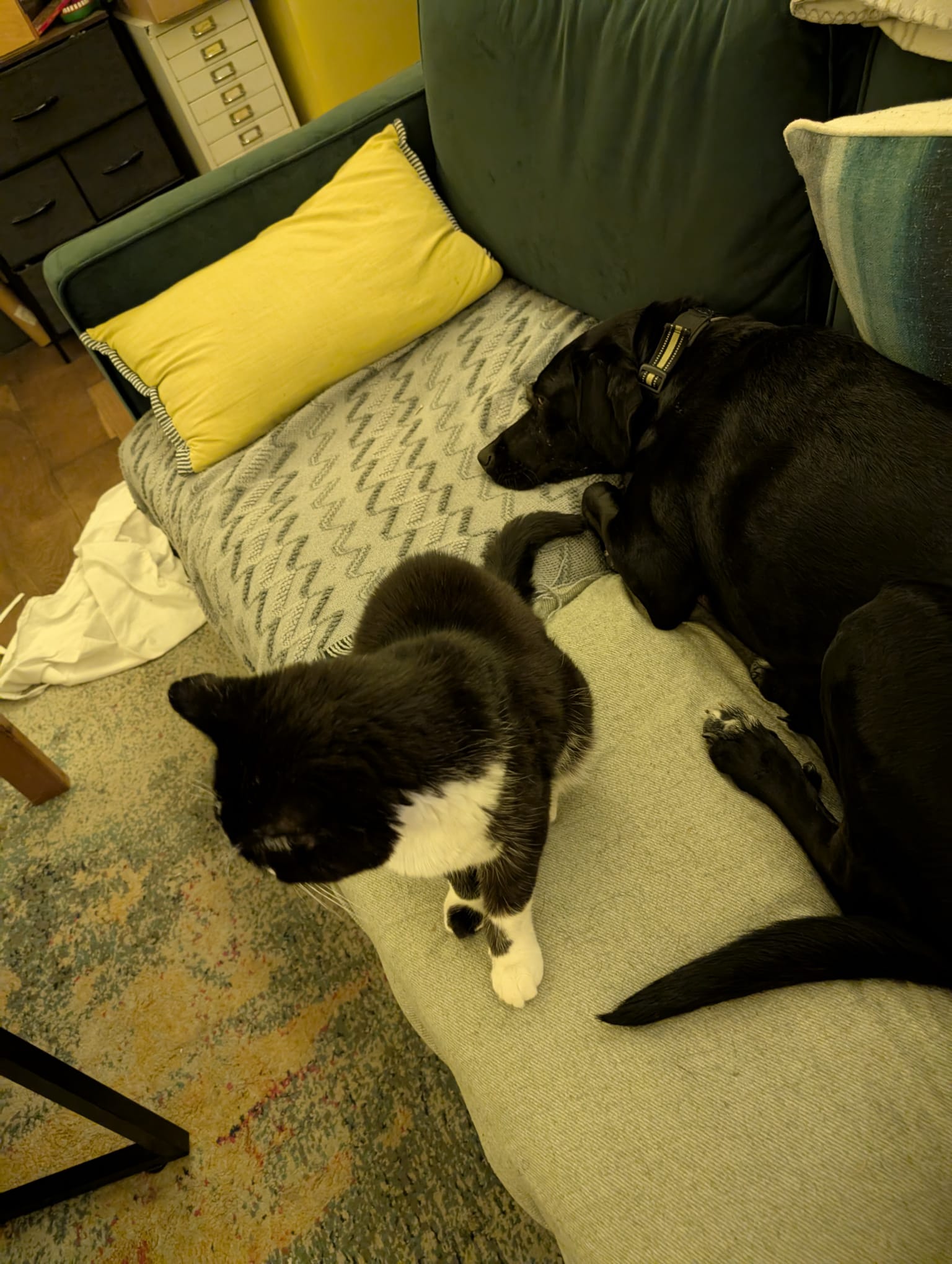 WhatsApp Image 2025-11-25 at 20.07.22