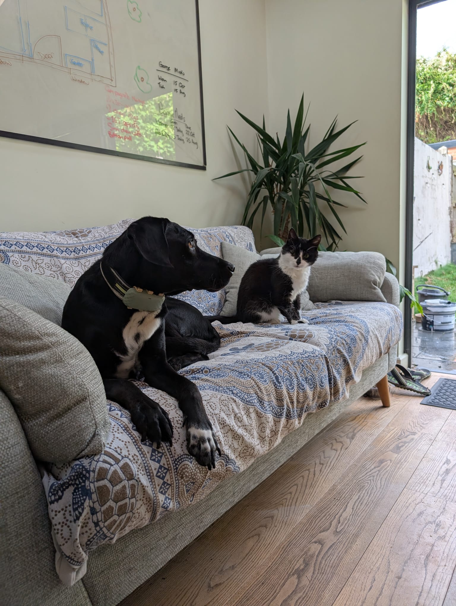 WhatsApp Image 2025-11-25 at 20.08.31