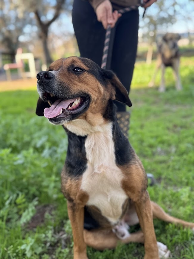 WhatsApp Image 2025-12-22 at 07.32.47