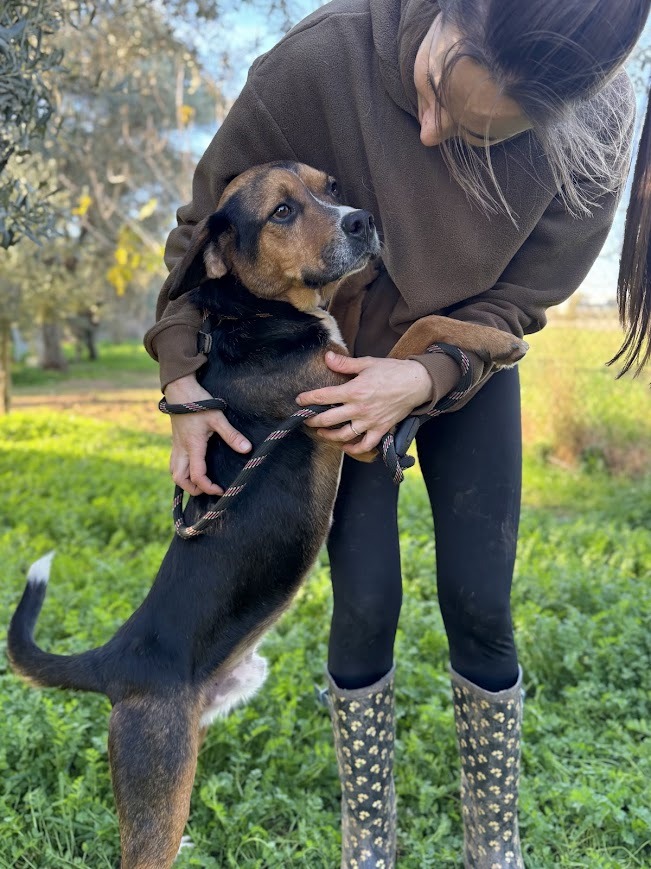 WhatsApp Image 2025-12-22 at 07.33.01