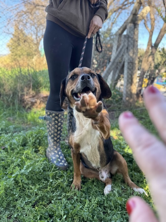 WhatsApp Image 2025-12-22 at 07.33.30