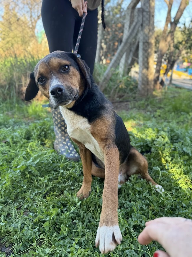 WhatsApp Image 2025-12-22 at 07.33.37