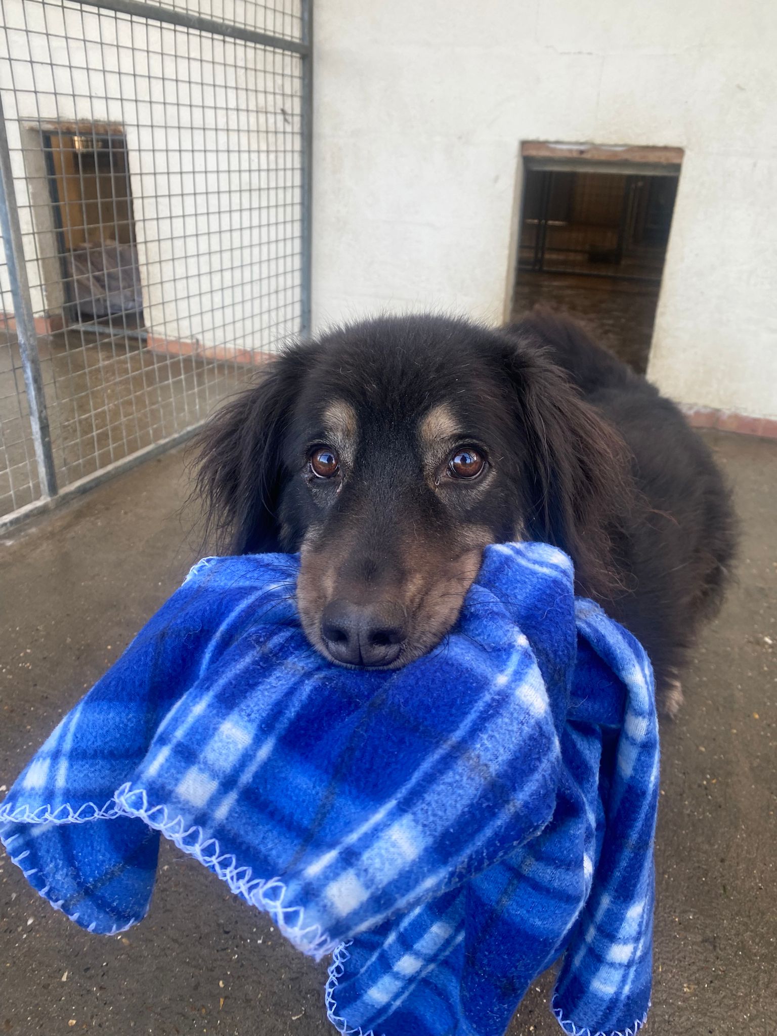 WhatsApp Image 2026-01-18 at 12.10.42