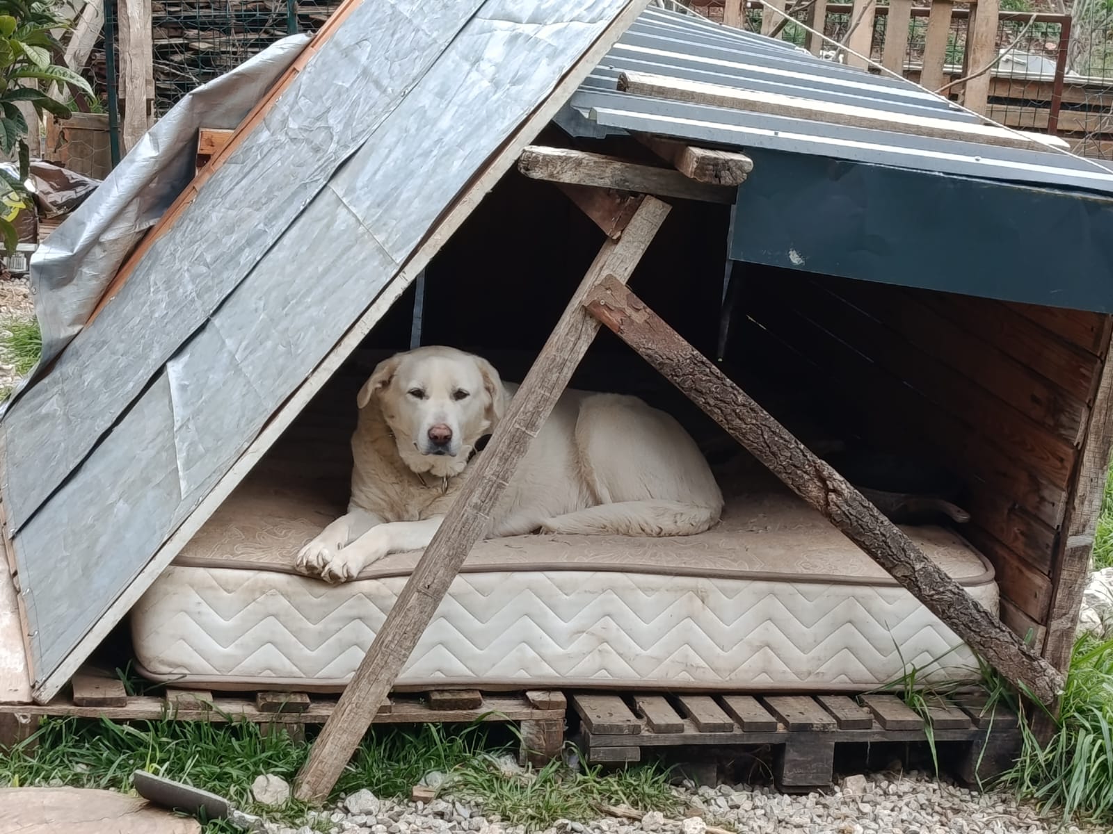 WhatsApp Image 2026-02-09 at 16.53.01