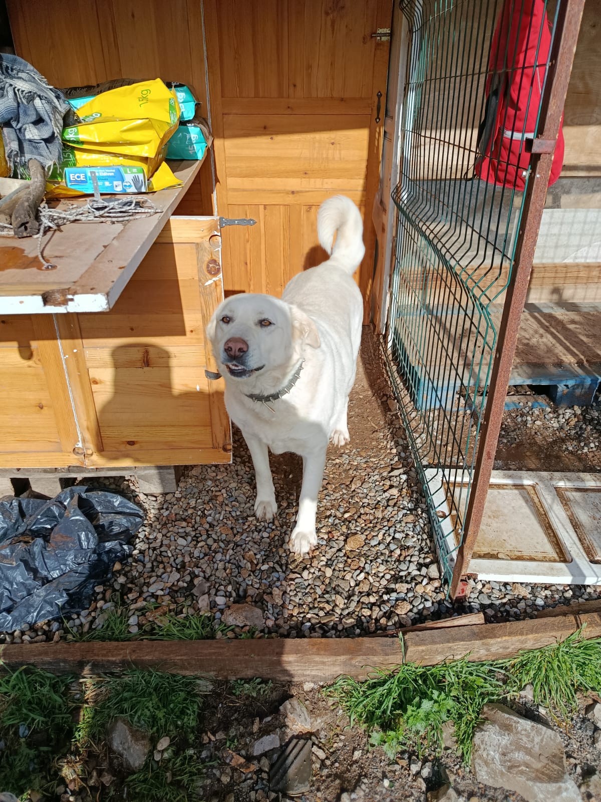 WhatsApp Image 2026-02-09 at 16.53.06