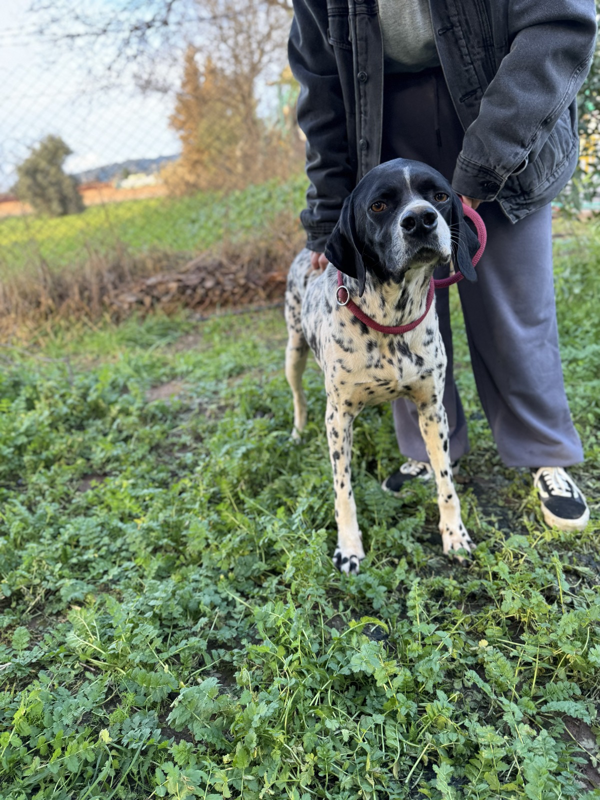 WhatsApp Image 2026-02-12 at 15.12.55