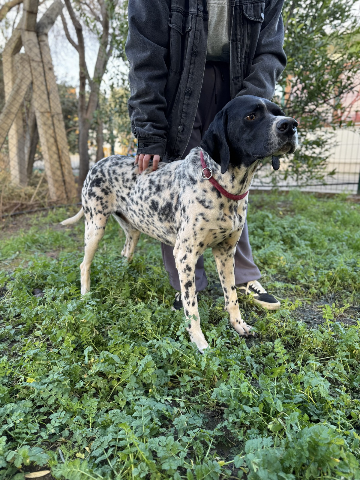 WhatsApp Image 2026-02-12 at 15.12.56