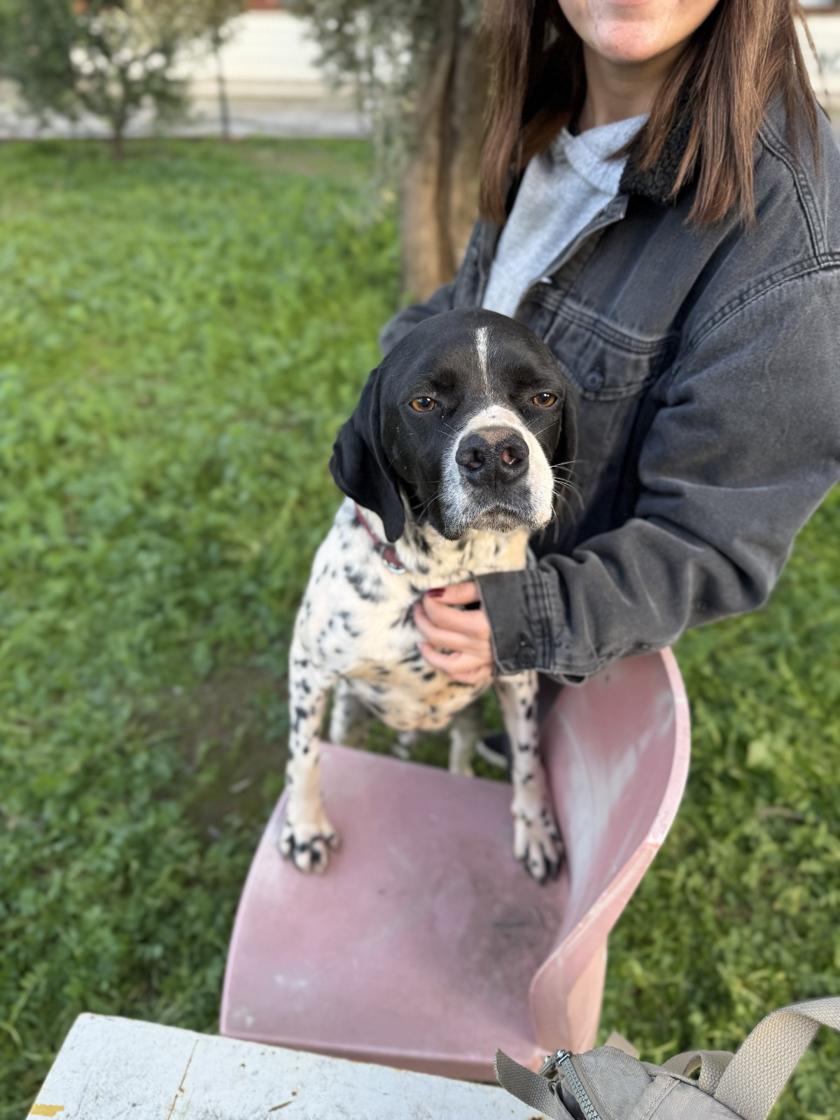 WhatsApp Image 2026-02-12 at 15.12.57 (2)