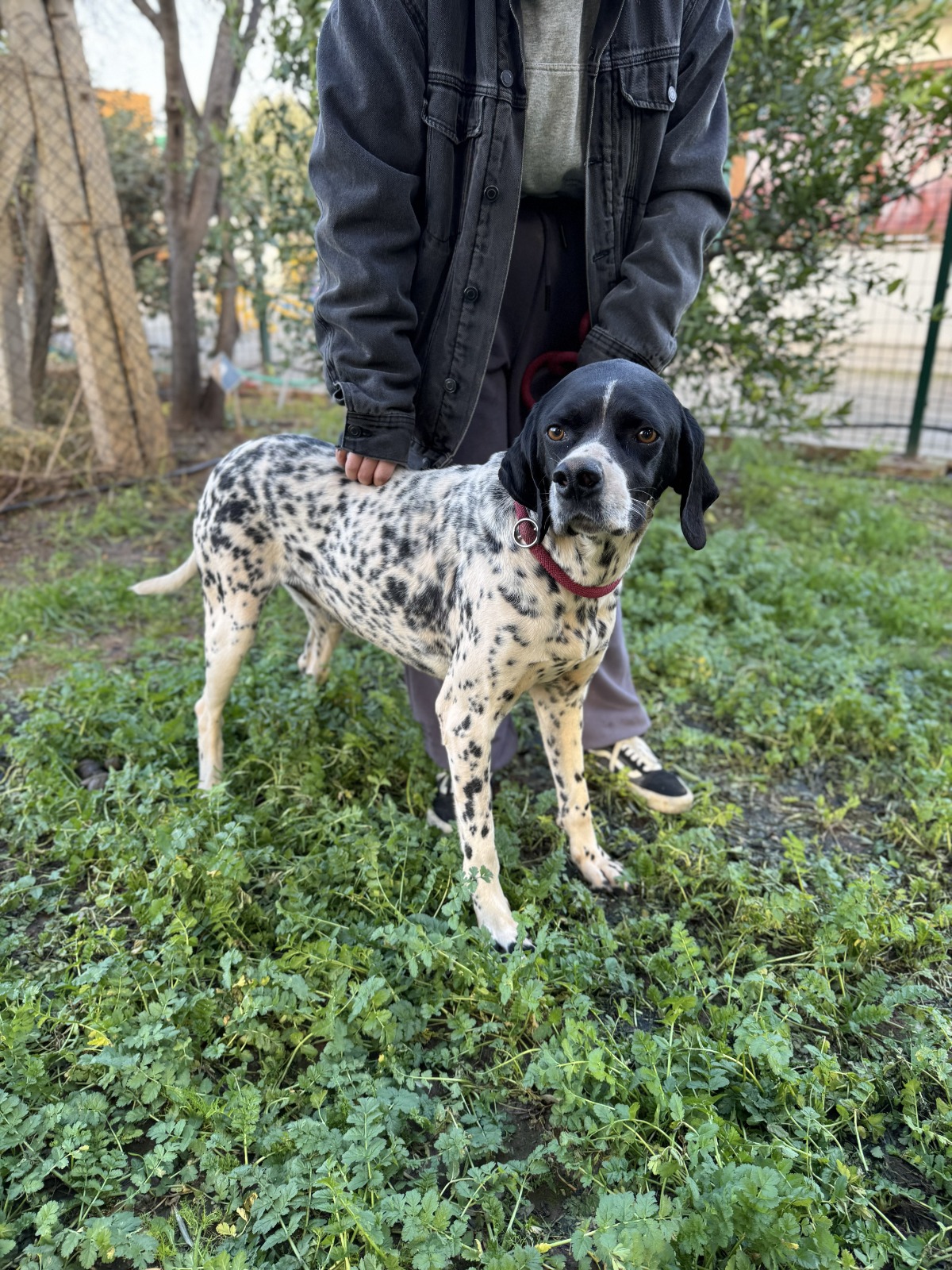 WhatsApp Image 2026-02-12 at 15.12.57