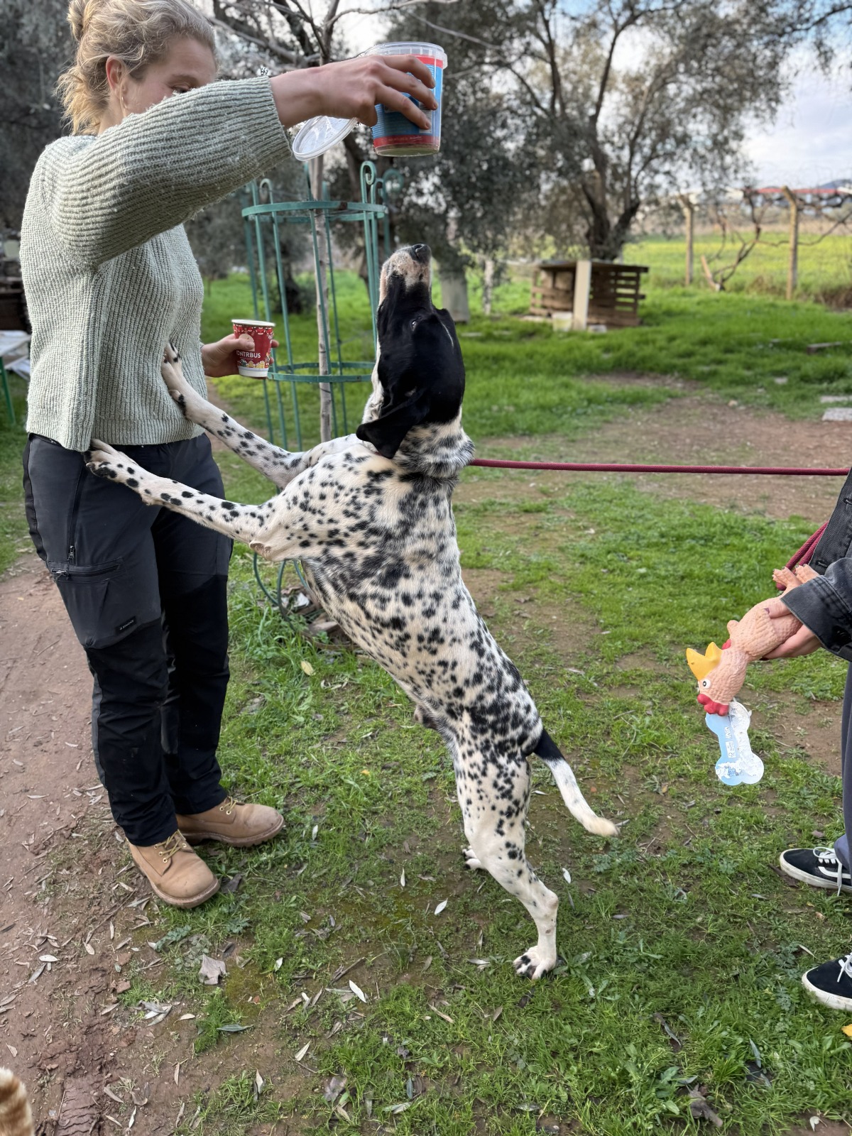 WhatsApp Image 2026-02-12 at 15.12.58 (1)