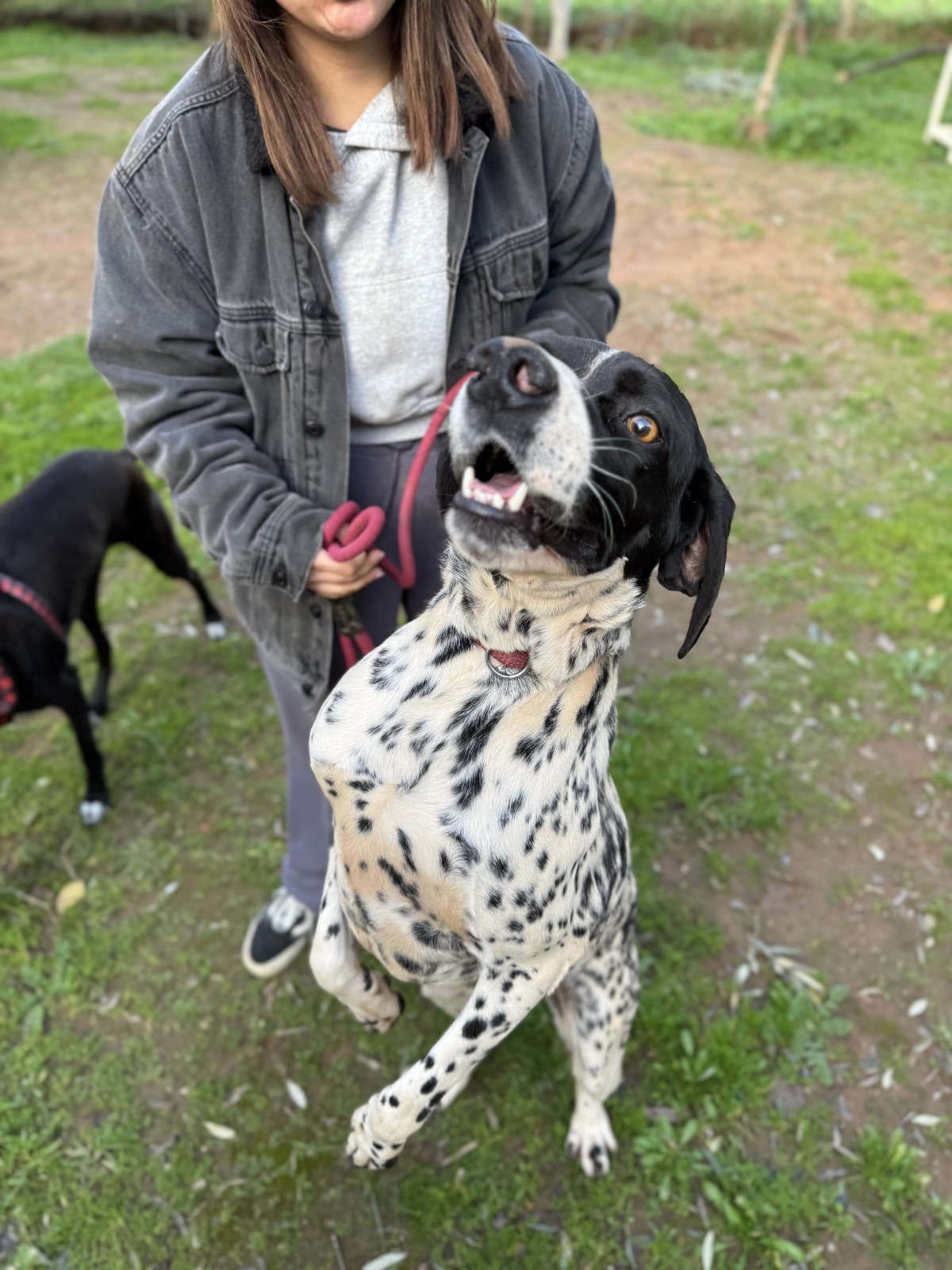 WhatsApp Image 2026-02-12 at 15.12.58