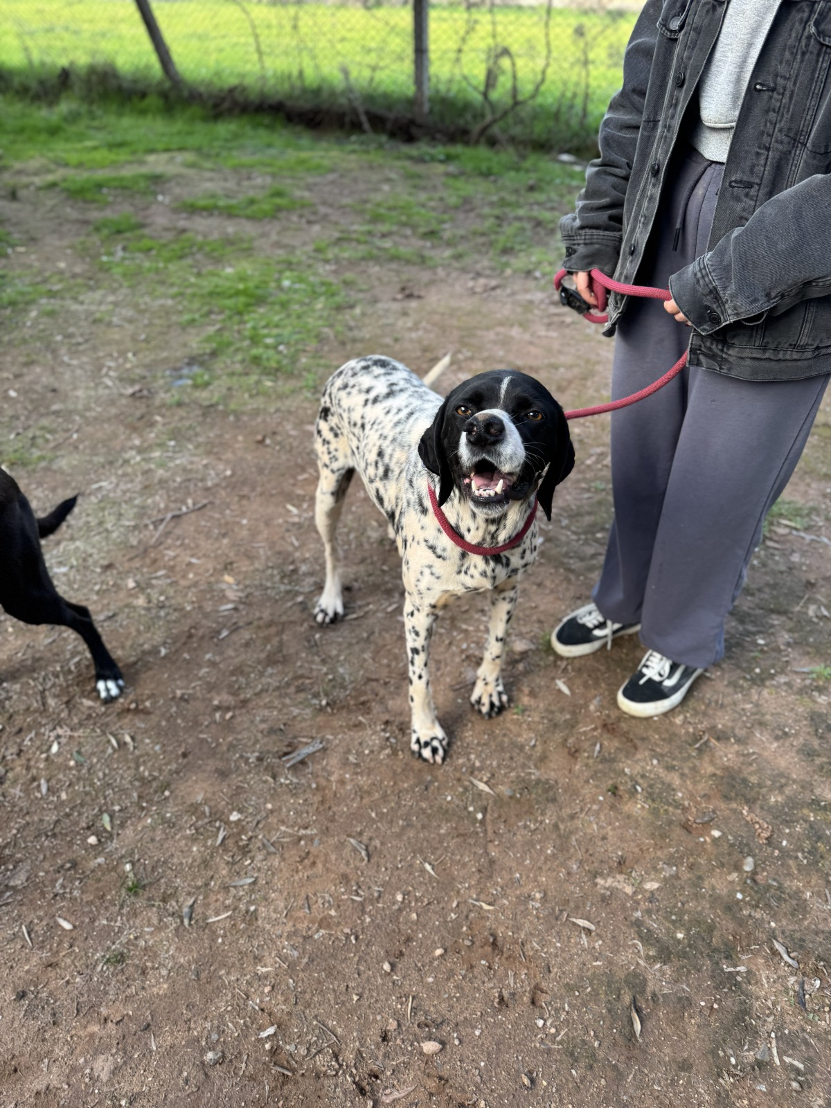 WhatsApp Image 2026-02-12 at 15.12.59 (1)