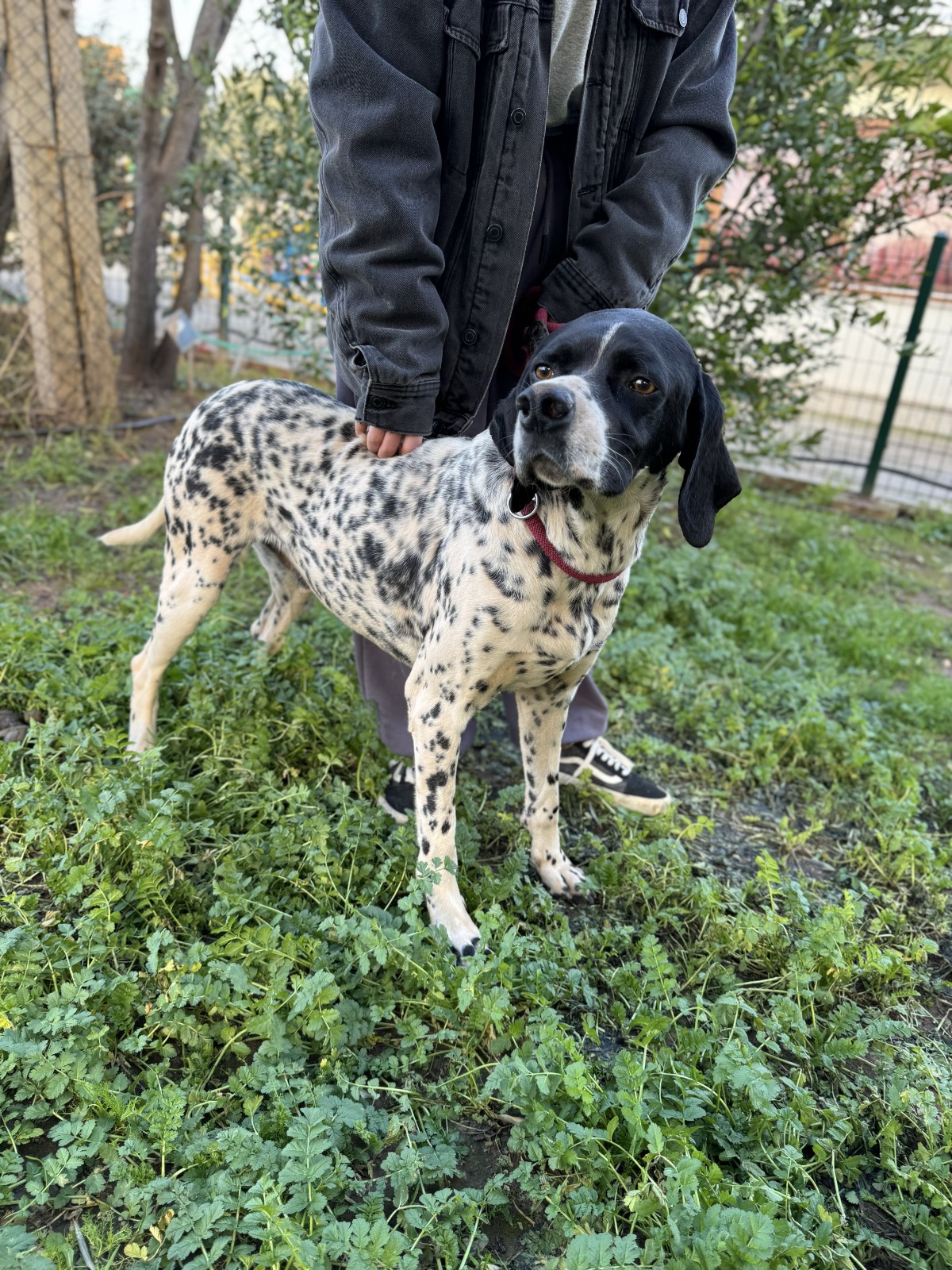 WhatsApp Image 2026-02-12 at 15.12.59 (2)