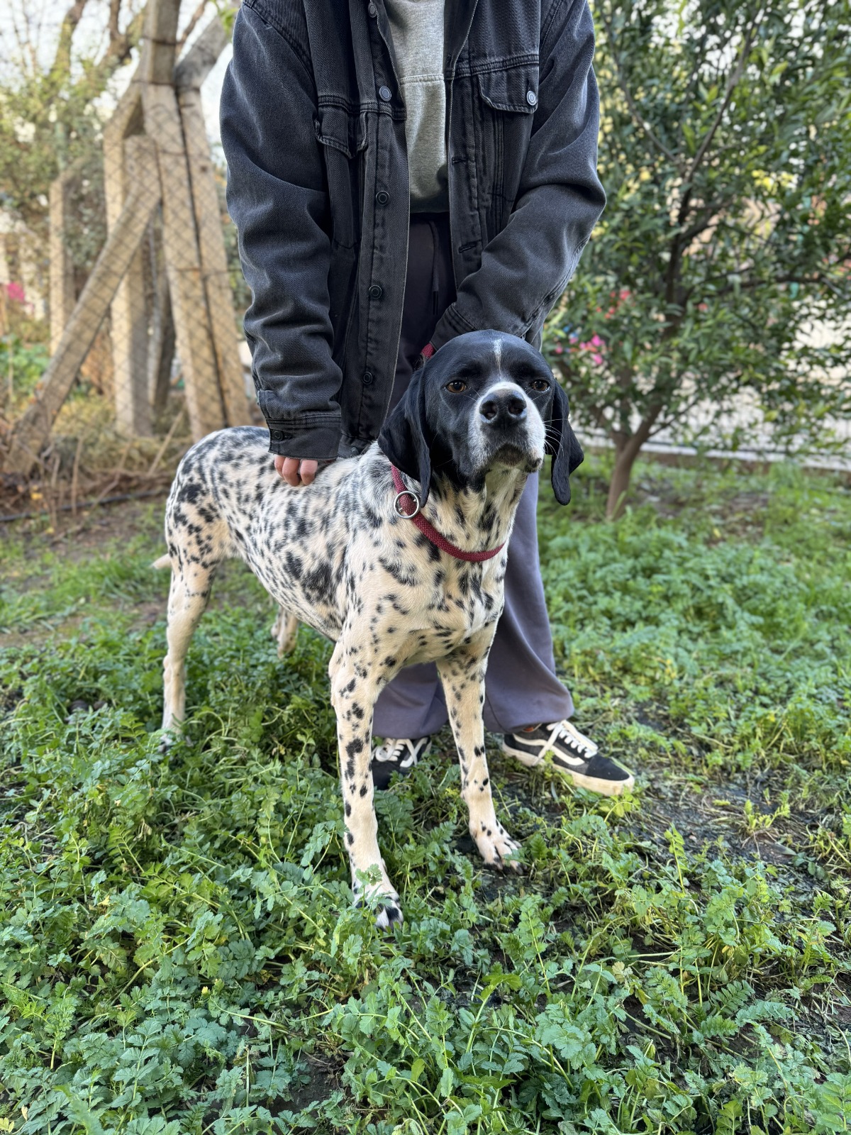 WhatsApp Image 2026-02-12 at 15.12.59 (3)