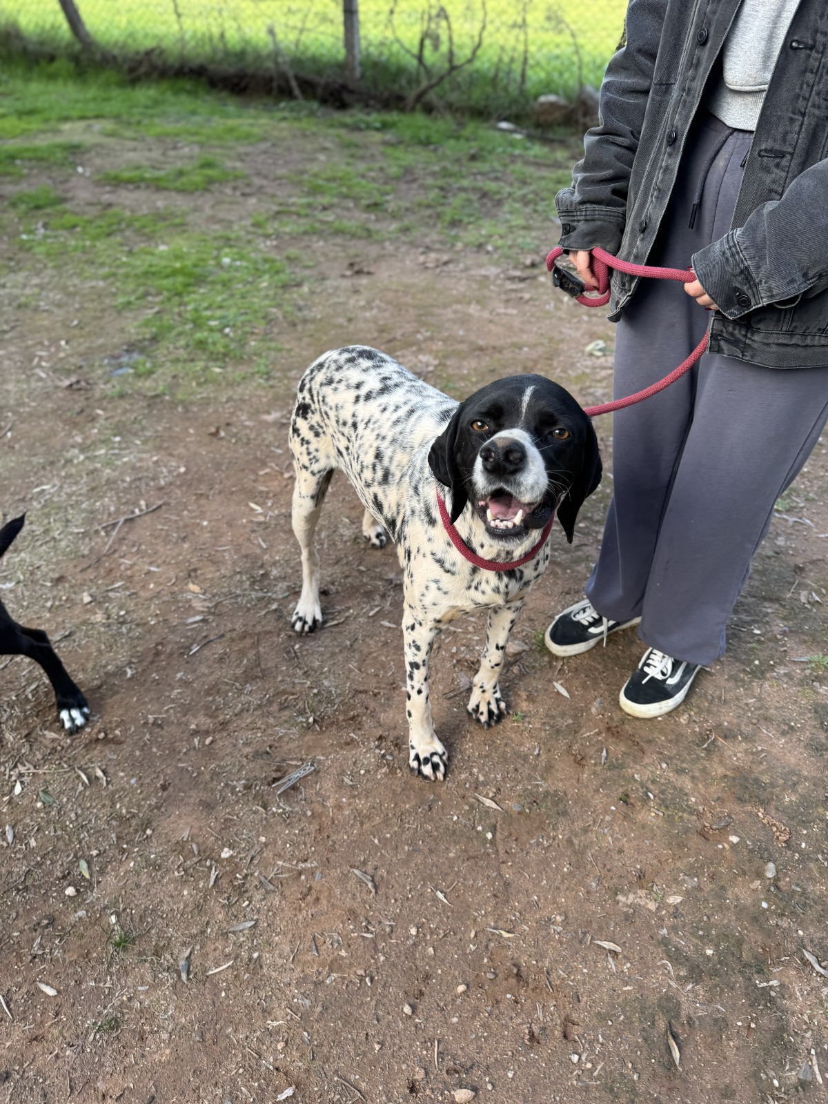 WhatsApp Image 2026-02-12 at 15.12.59