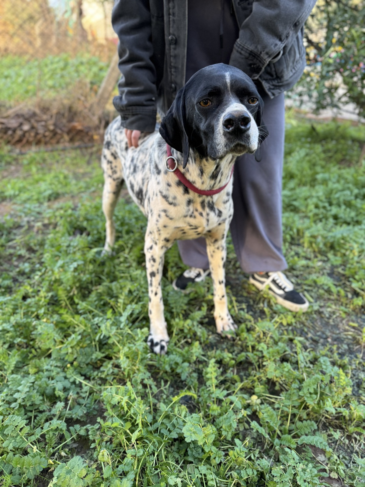 WhatsApp Image 2026-02-12 at 15.13.00