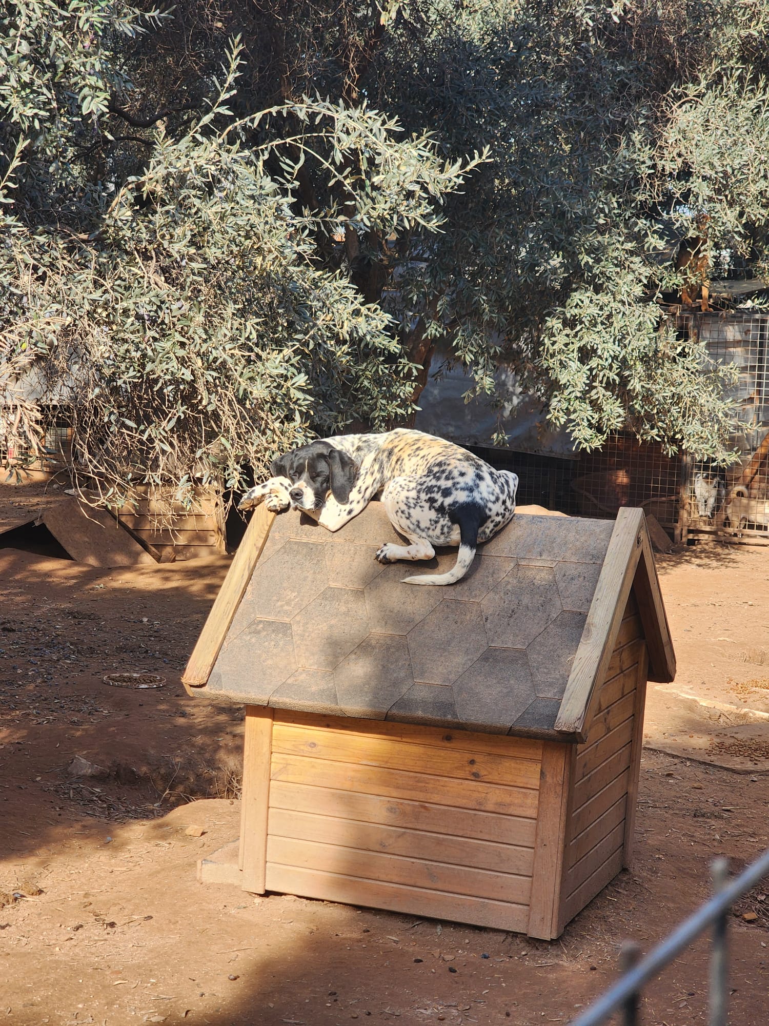 WhatsApp Image 2026-02-12 at 15.13.23