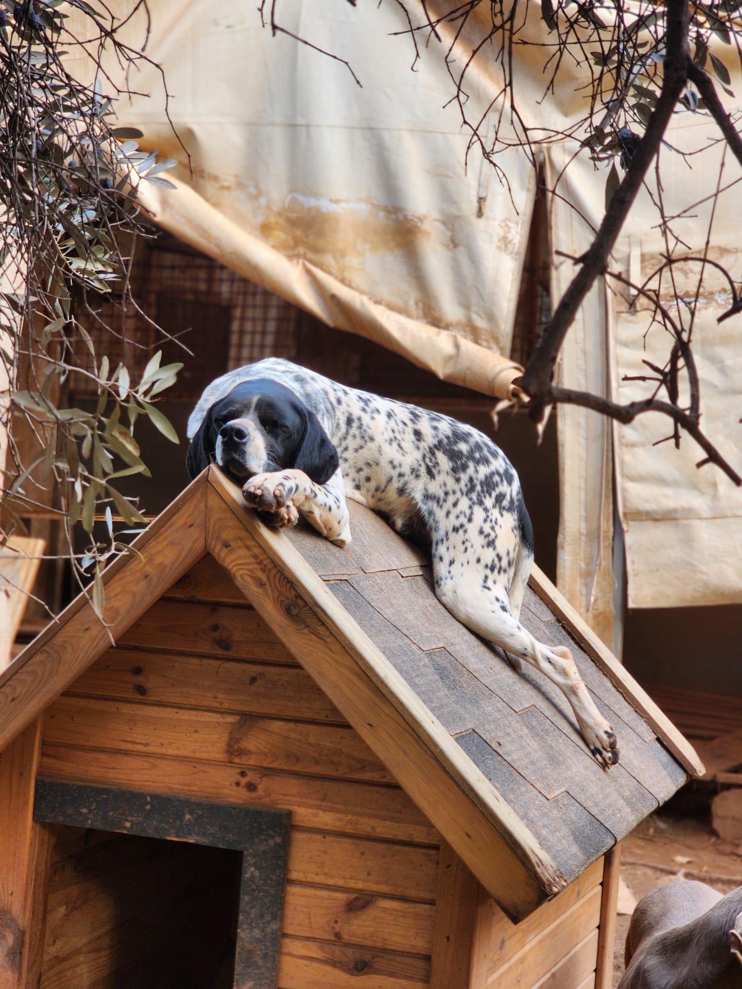 WhatsApp Image 2026-02-12 at 15.13.24