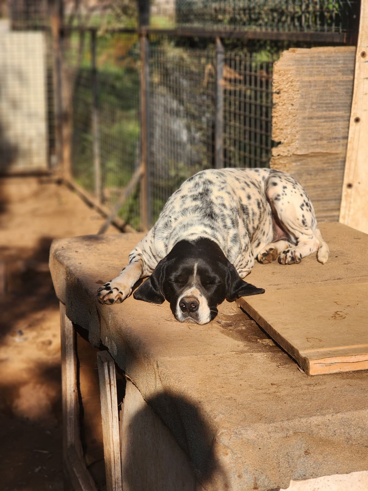 WhatsApp Image 2026-02-12 at 15.14.26