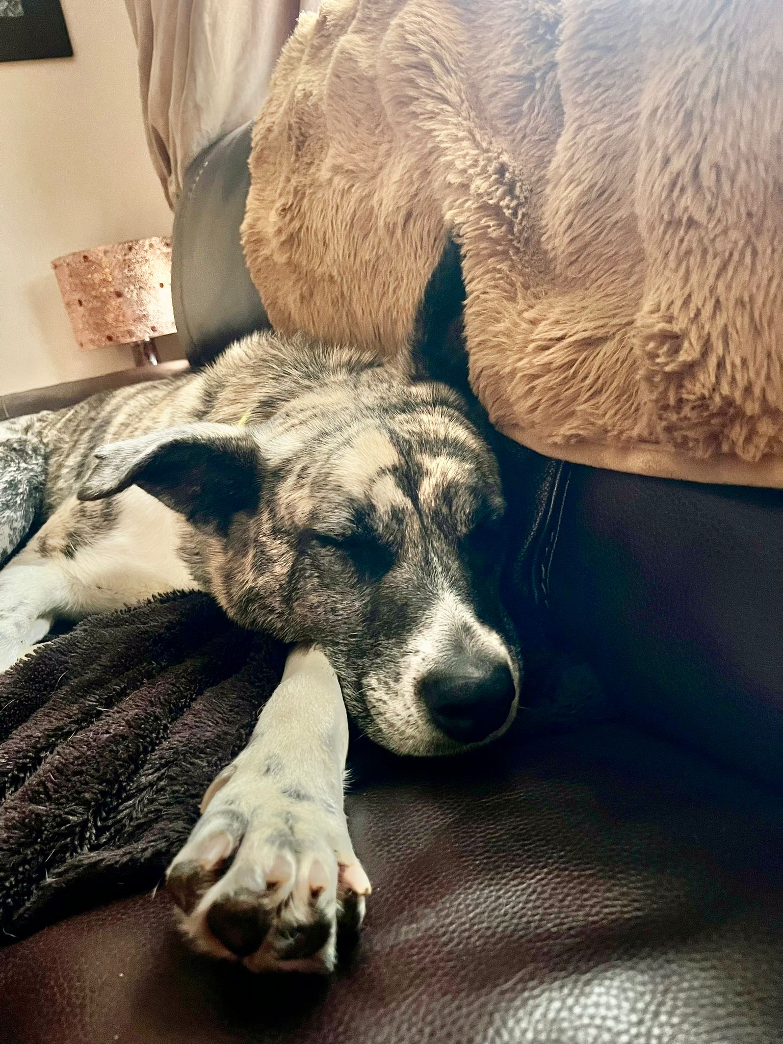 WhatsApp Image 2026-02-14 at 16.22.52