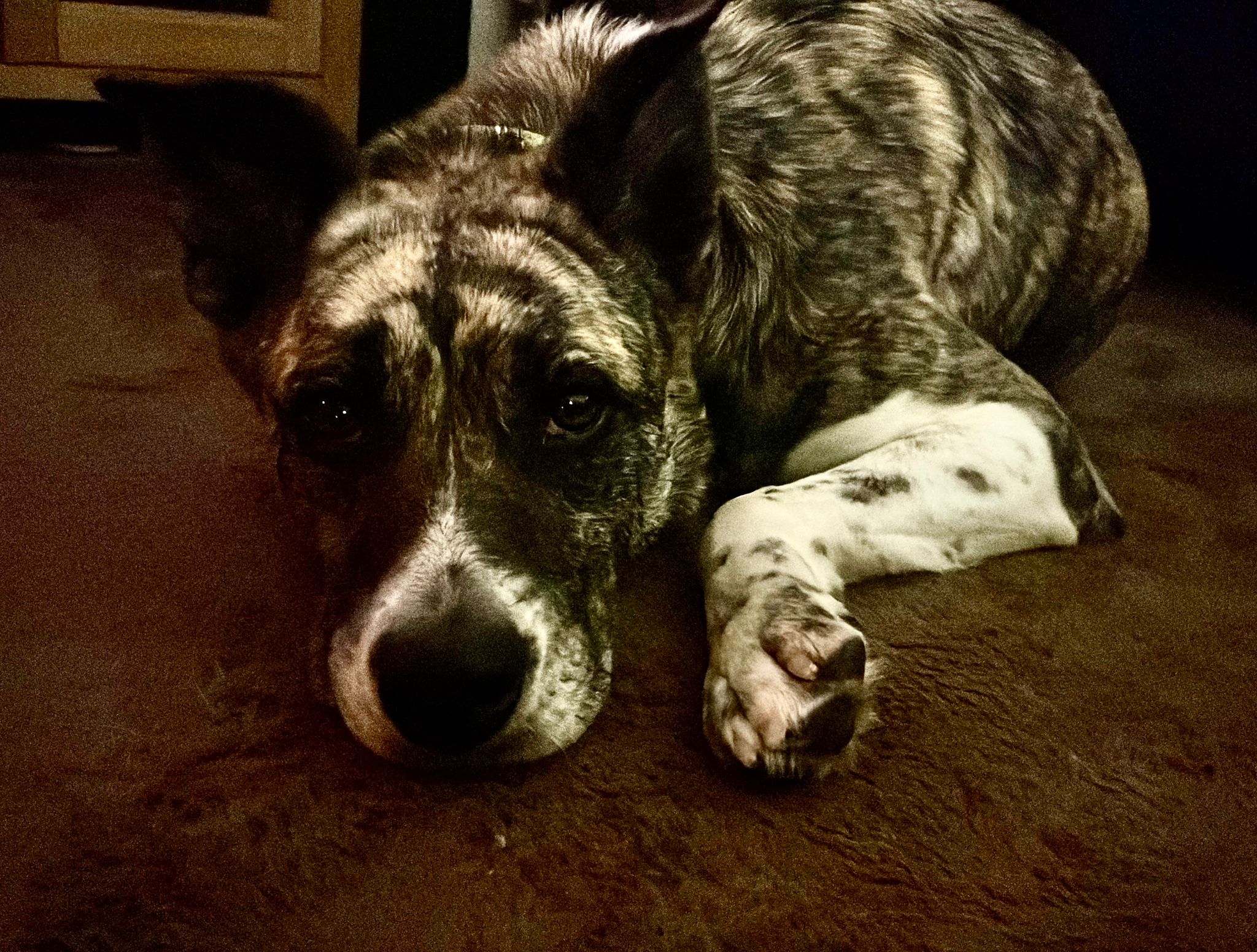 WhatsApp Image 2026-02-14 at 16.23.12