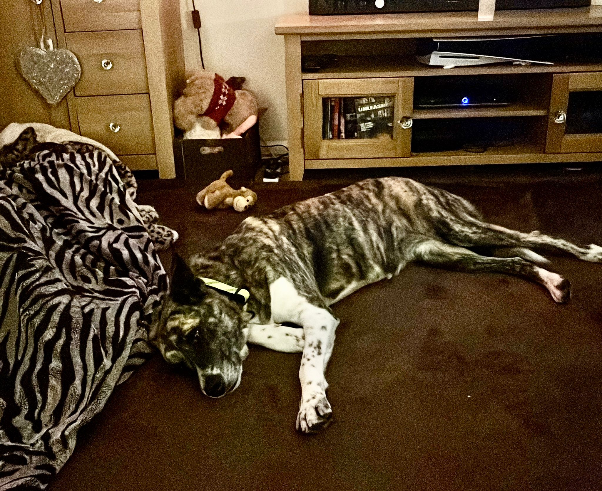 WhatsApp Image 2026-02-14 at 16.23.32