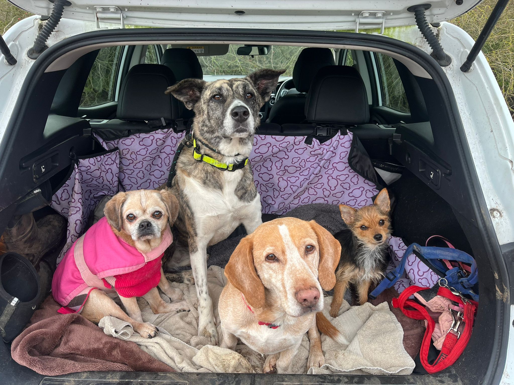 WhatsApp Image 2026-02-14 at 16.23.49