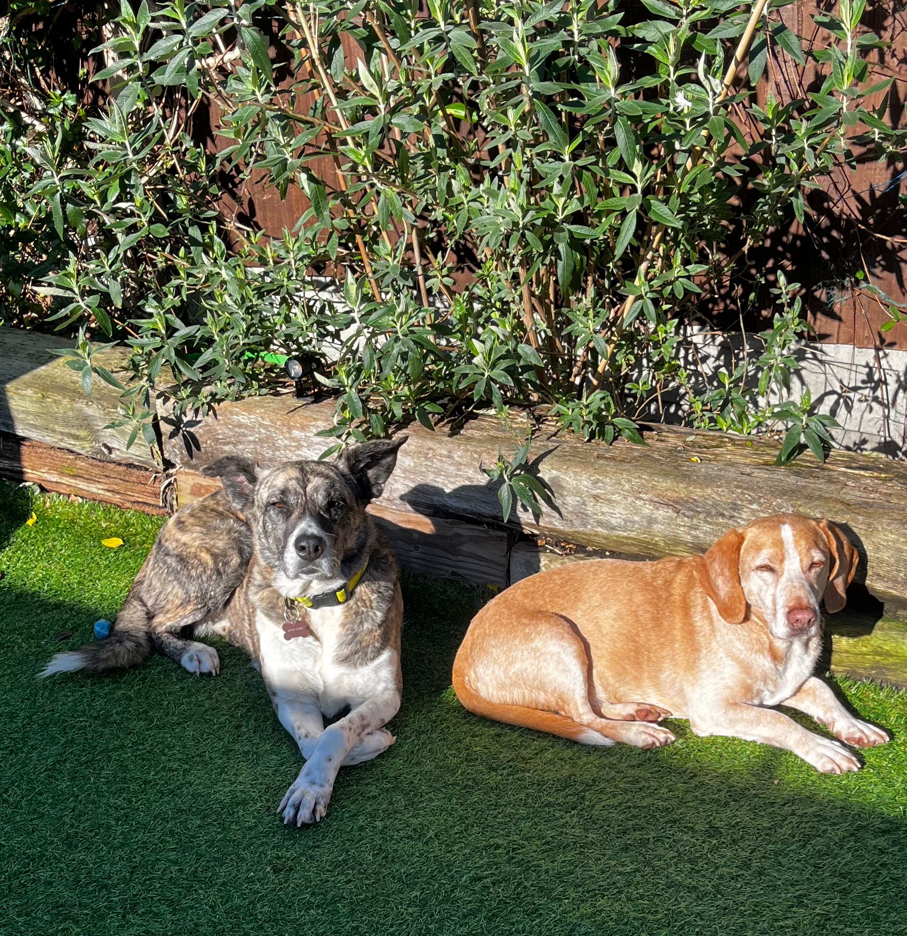 WhatsApp Image 2026-02-14 at 16.24.36