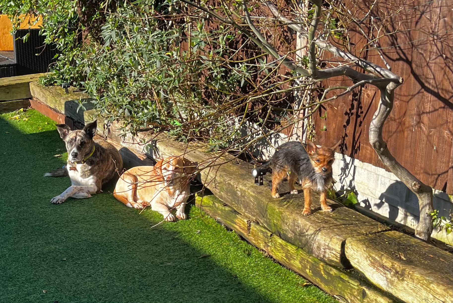 WhatsApp Image 2026-02-14 at 16.26.18