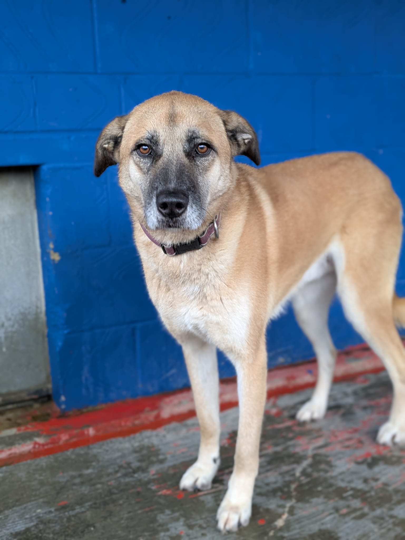 WhatsApp Image 2026-02-16 at 12.44.30