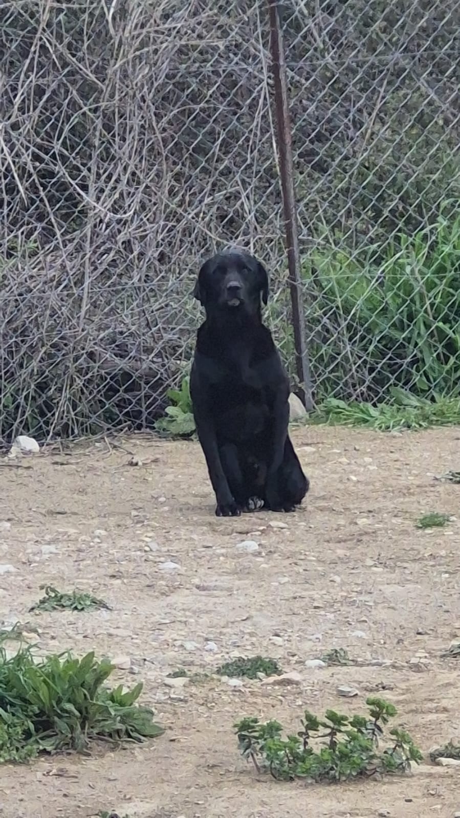 WhatsApp Image 2026-02-26 at 17.50.49 (2)